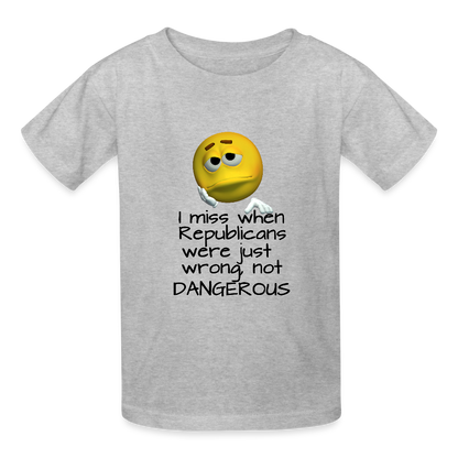 Republicans - Wrong not Dangerous - Anti-Republican Protest T-Shirt - (Black Letters) - Youth T-Shirt - heather gray